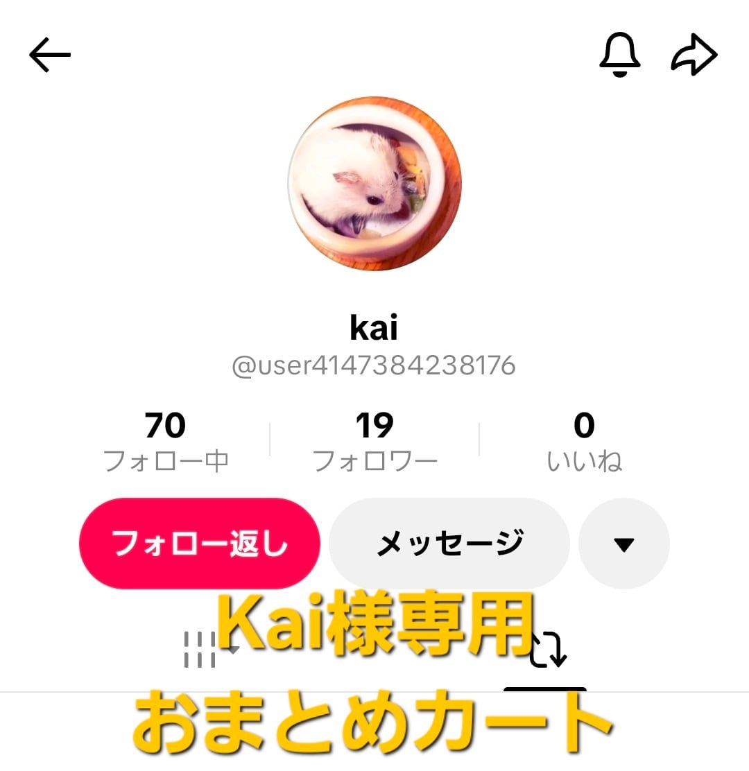 Reby様☆確認用 kai マフラー本体 様専用