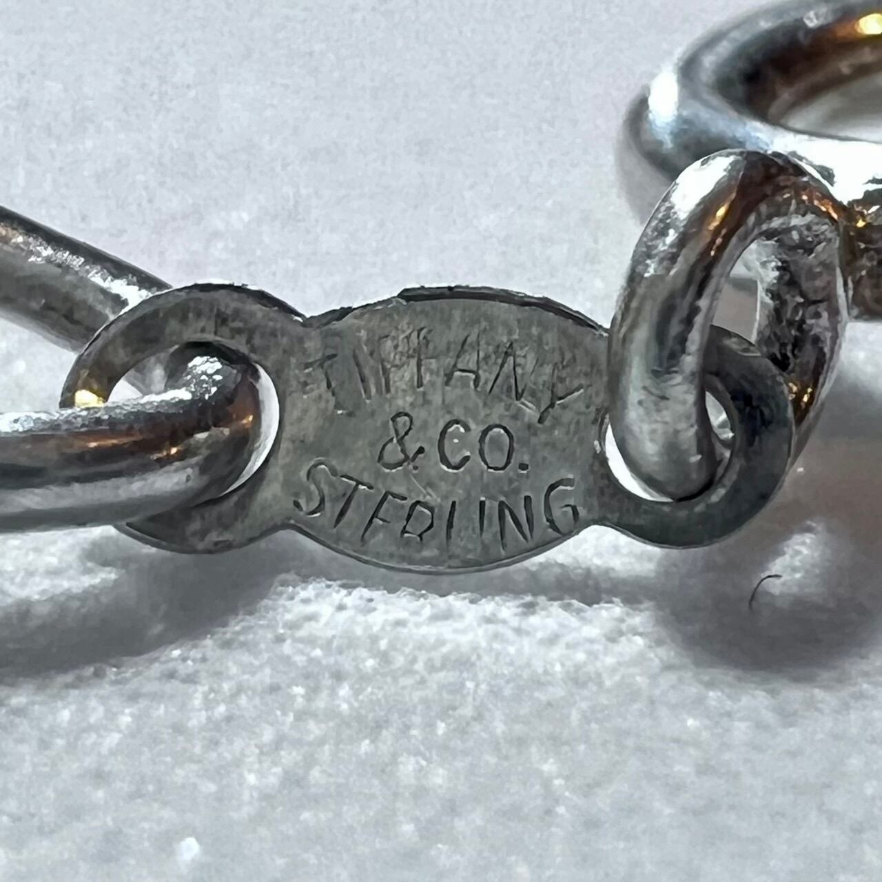 VINTAGE TIFFANY & CO. Rope Curb Chain Necklace Sterling Silver