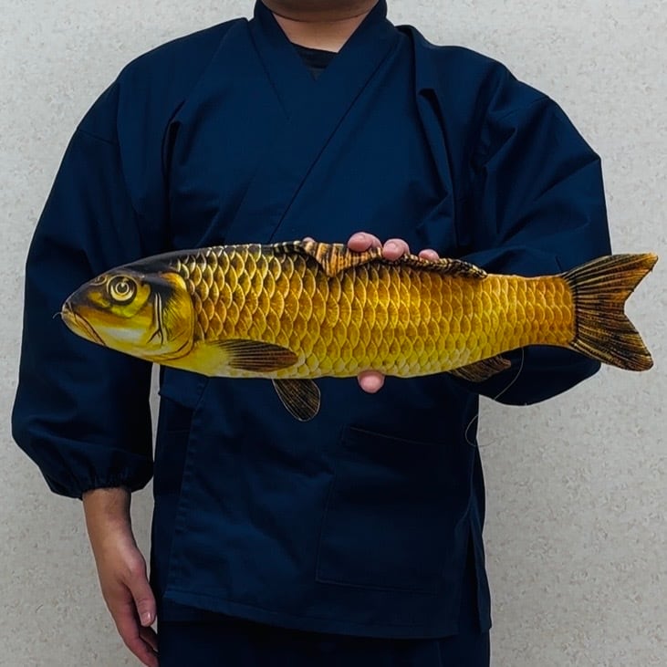 魚の出現！(中)/Appearing Fish (54cm, Medium) | 横浜マジック