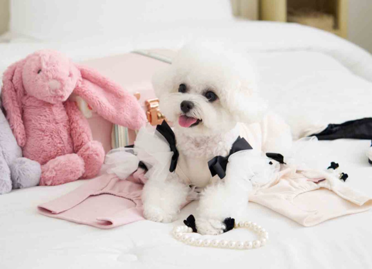 即納【MYLITTLEDOG】Coco Angel Top (cream)