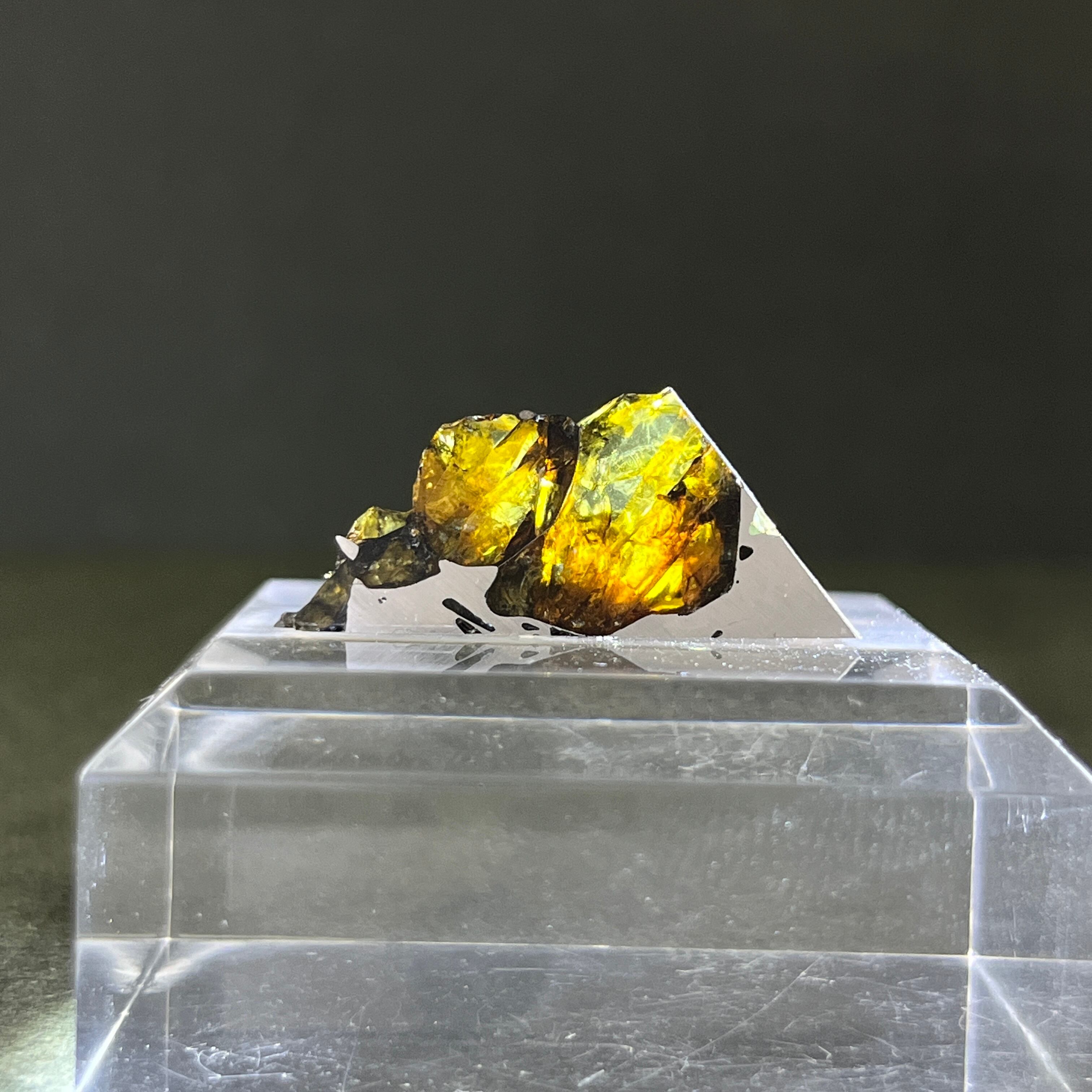 エスケル esquel隕石 エスケル隕石 Esquel Meteorite 25051201 | 【隕石屋】METEOS（メテオス）