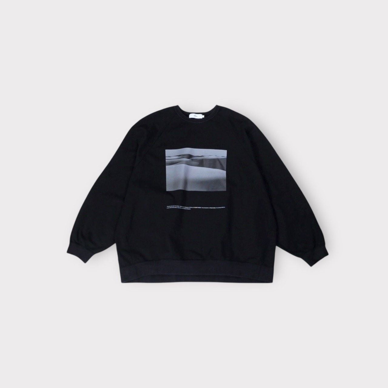 Graphpaper【Poet Meets Dubwise for GP COMPACT TERRY CREW NECK ”DAWN”】