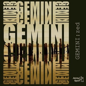 〈予約〉【LP】GEMINI - zed