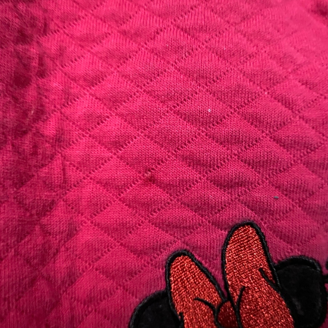 ディズニーミッキーマウス ミニーマウス 刺繍 ハーフジップスウェット 