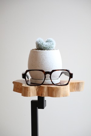 【S】マミラミア カルメナエ  綴化/Mammillaria　※陶器鉢付き