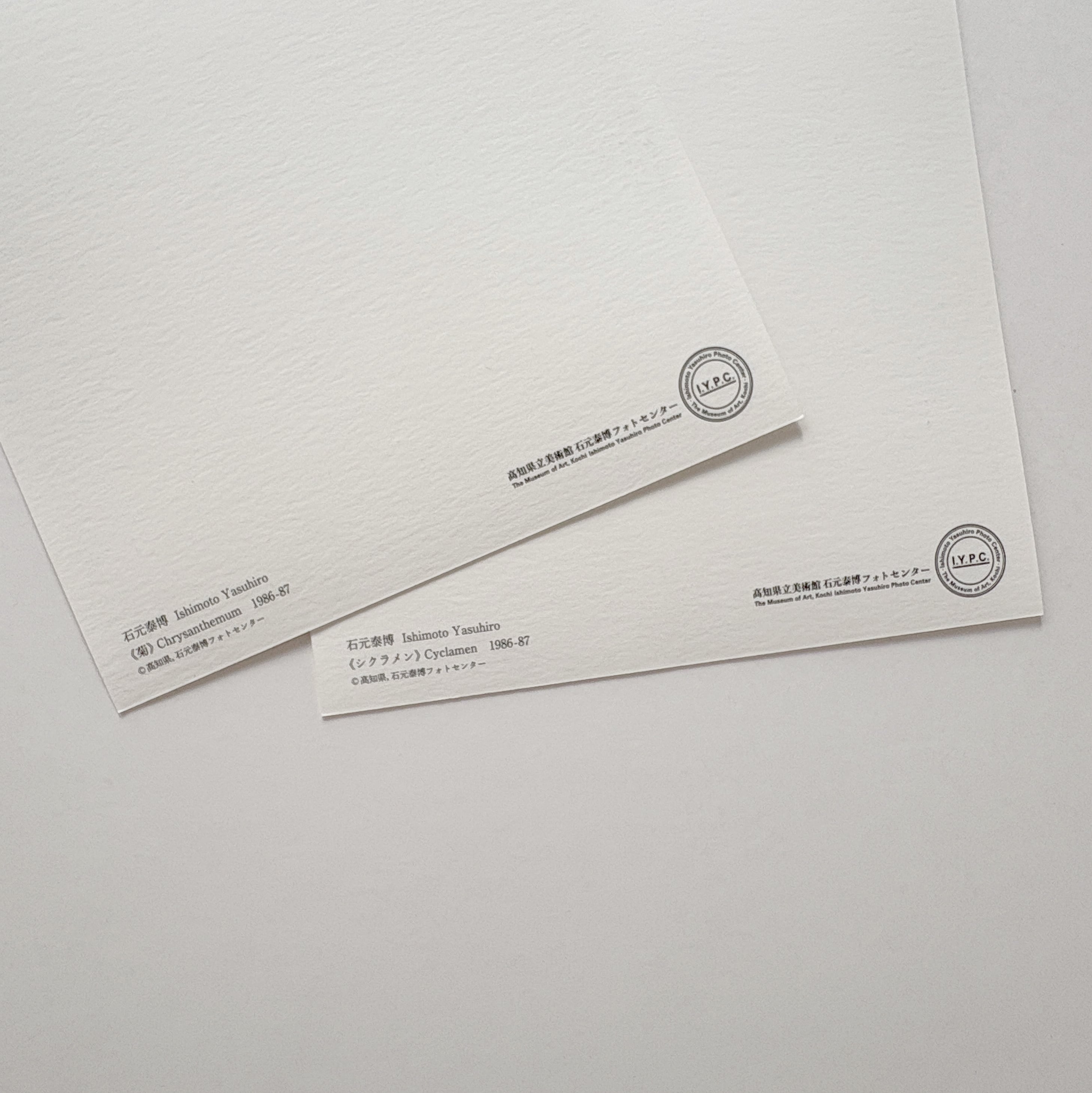 石元泰博〈HANA〉ポストカード 12枚入 | defontedesign store