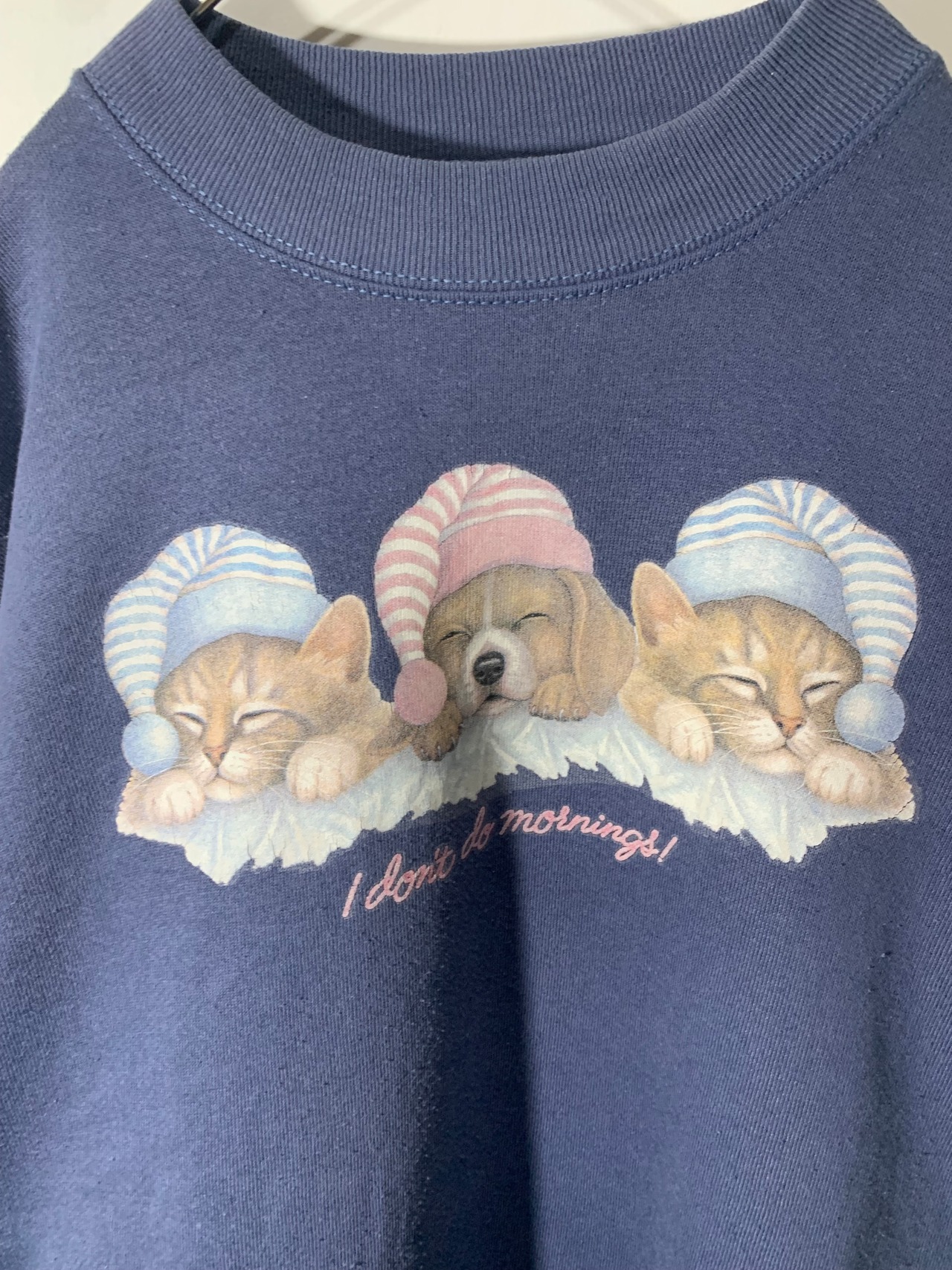 90's FRUIT OF THE LOOM Print Sweat Shirt Made in USA【XL】