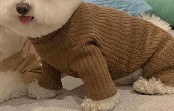 《予約》№1101802 ブラウンセーター