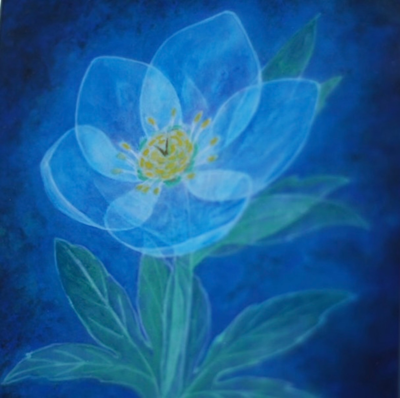 「Blooming in blue」—原画 by 寺本悠里子