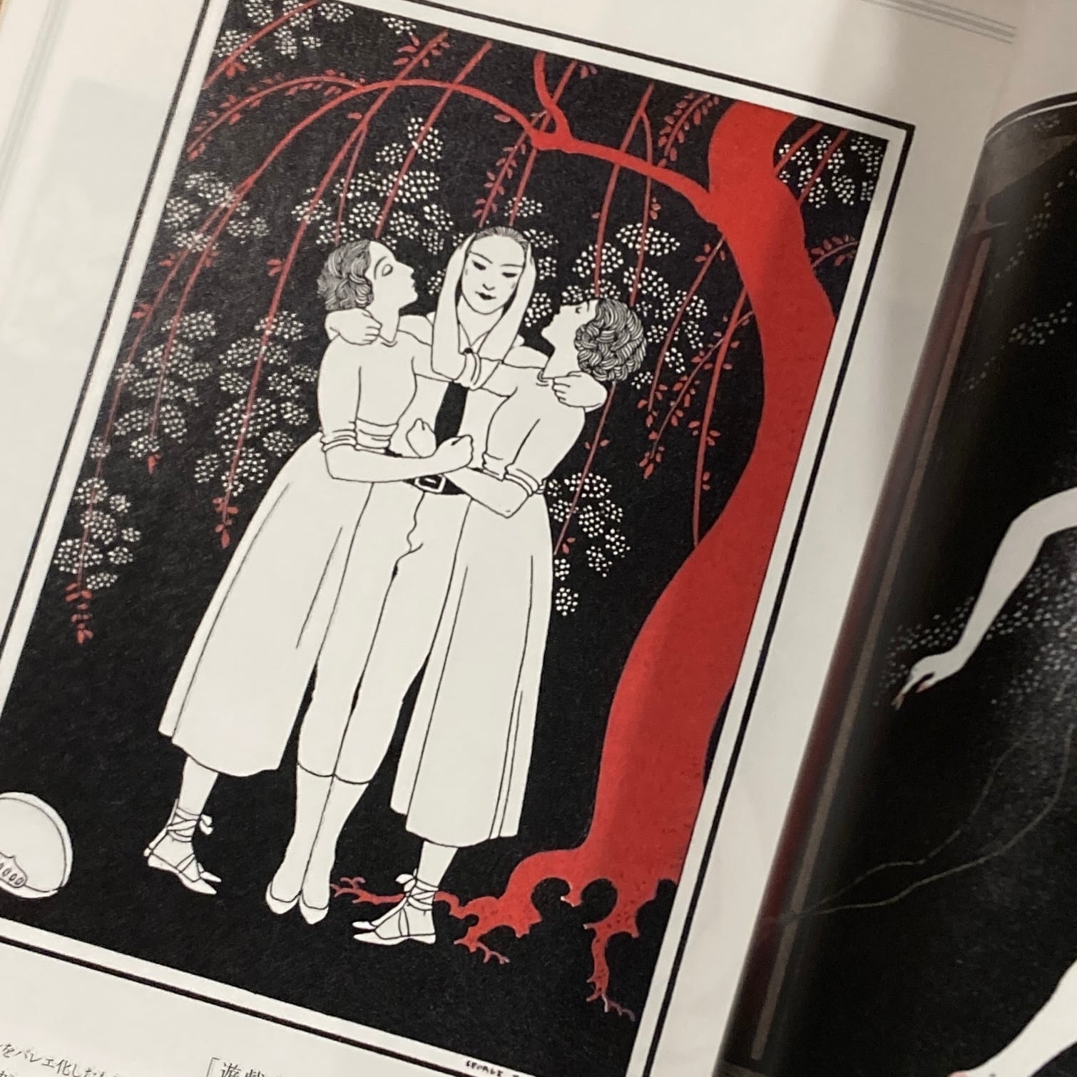 チュコの挿絵とおとぎ話の世界　ジョルジュ・バルビエ　ロシアの挿絵とおとぎ話の世界 ジョルジュ・バルビエ 優美と幻想のイラストレーター 日本語カバ― 解説
