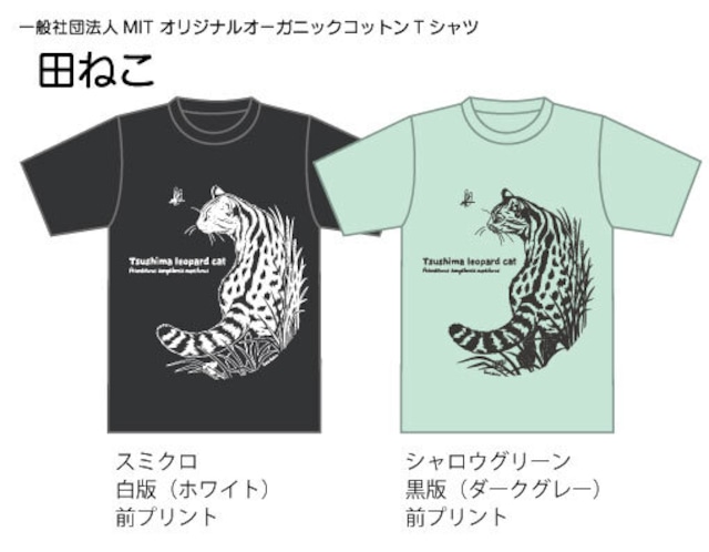 オーガニックコットンTシャツ【田ねこ】