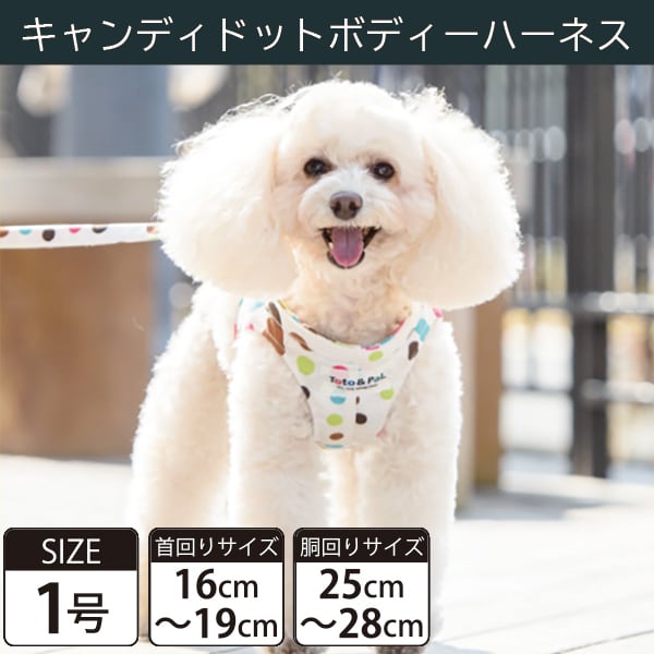 【受注生産品】Toto&Pal(トトパル) ボディーハーネス・キャンディドット(1号)