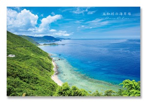 奄美ポストカード「大和村の海岸線」