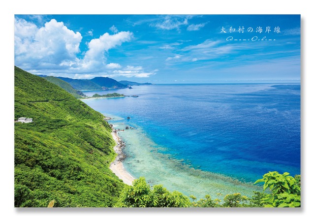 奄美ポストカード「大和村の海岸線／嶺山公園」
