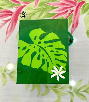 ハワイアンギフトバッグ小