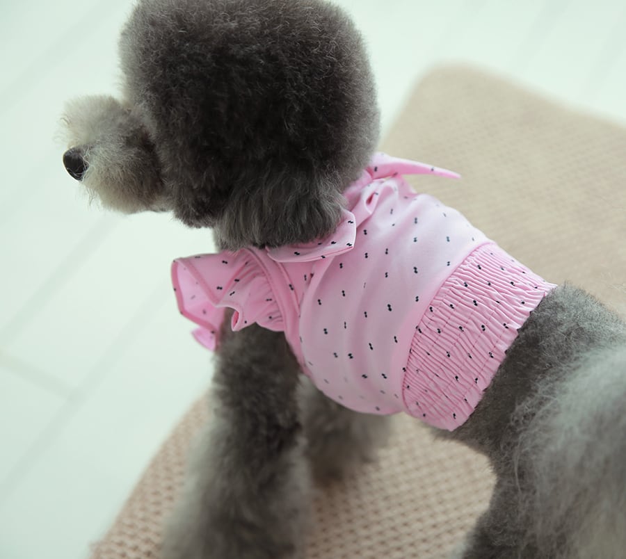 summer candy crop sleeveless S ~ XL 2color / 犬服 春夏 可愛い 犬の服 crop top Tシゃつ ショート丈 トップス リボン おパンツカット お揃い ドッグウェア 涼しい カラフル ドット top161