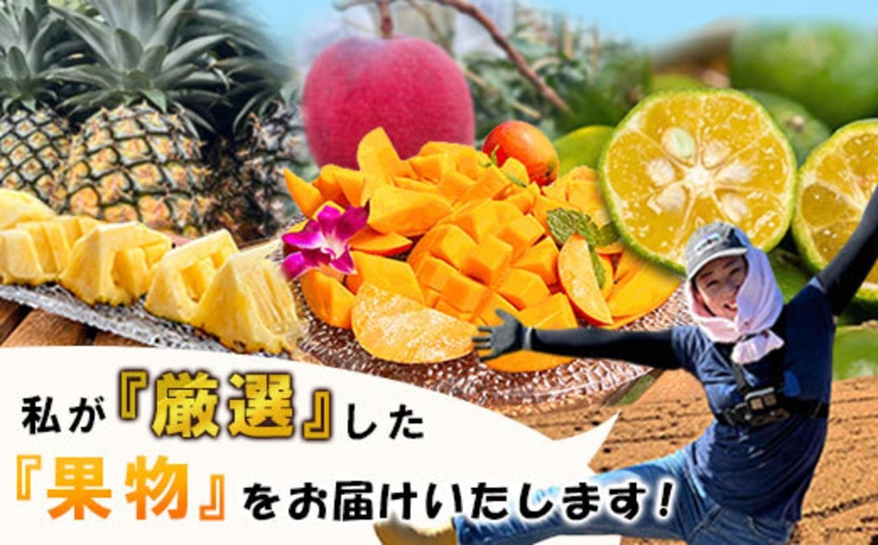 石垣島産 小玉スナックパイン 【公式通販】