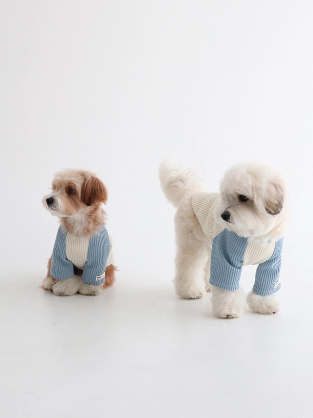 〈 即納アイテム 〉Dverry Tシャツ /コージーラグランニットTシャツ（ブルー)