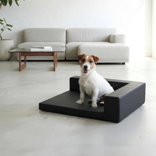 BUDDY BED BLACK BUDDY BED BLACK