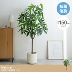 フェイクグリーン・オブジェ フェイクグリーン 高さ150cm Nature 光触媒人工観葉植物