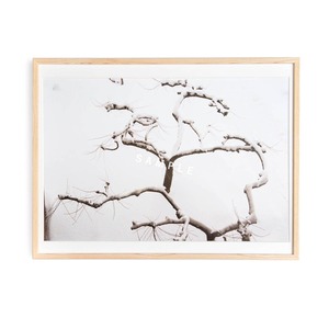 CLARITY [ Ⅰ ] -  Framed print No.33　size L