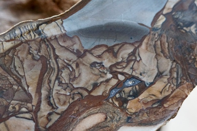 ビッグスジャスパー　Jasper