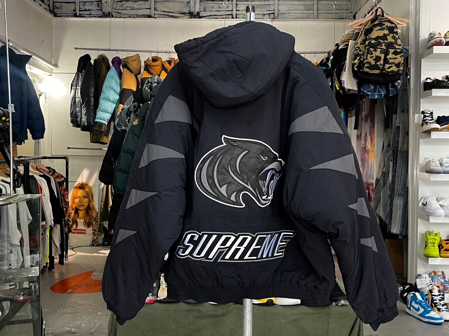 Supreme Wildcat Sideline Puffer Jacket 