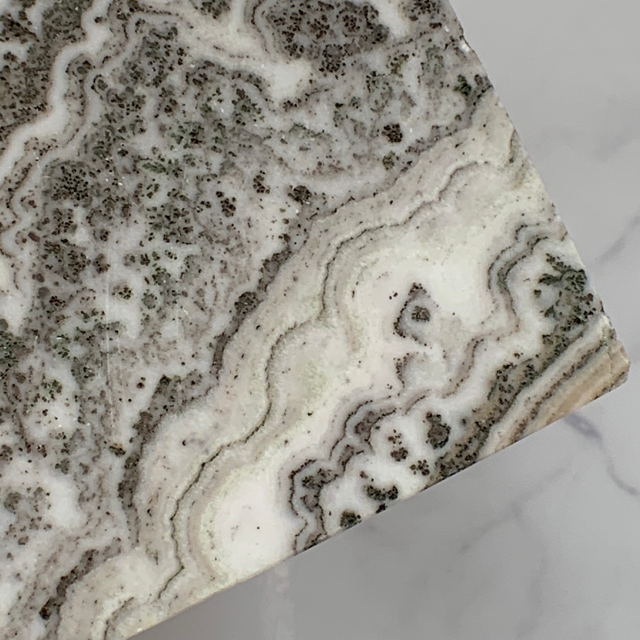 デンドライトジャスパー*置物*天然石インテリア*F3