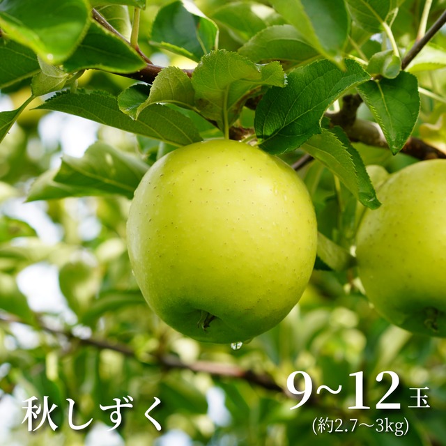 【雫のように滴る、ジューシーな果汁】佐々木さんちの「秋しずく」[9～12玉]秋田県横手市平鹿町産