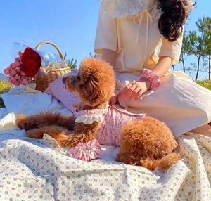 トップス＆スカート