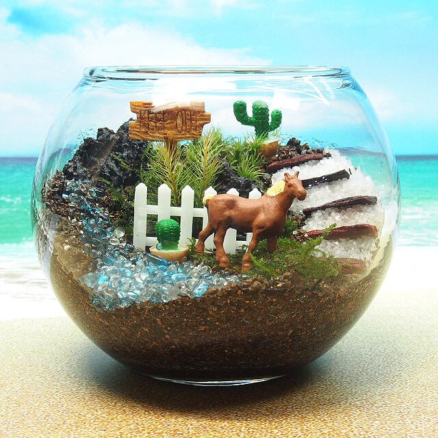 苔テラリウム・手作りキット一式】馬とサボテン | 工房・津軽moss