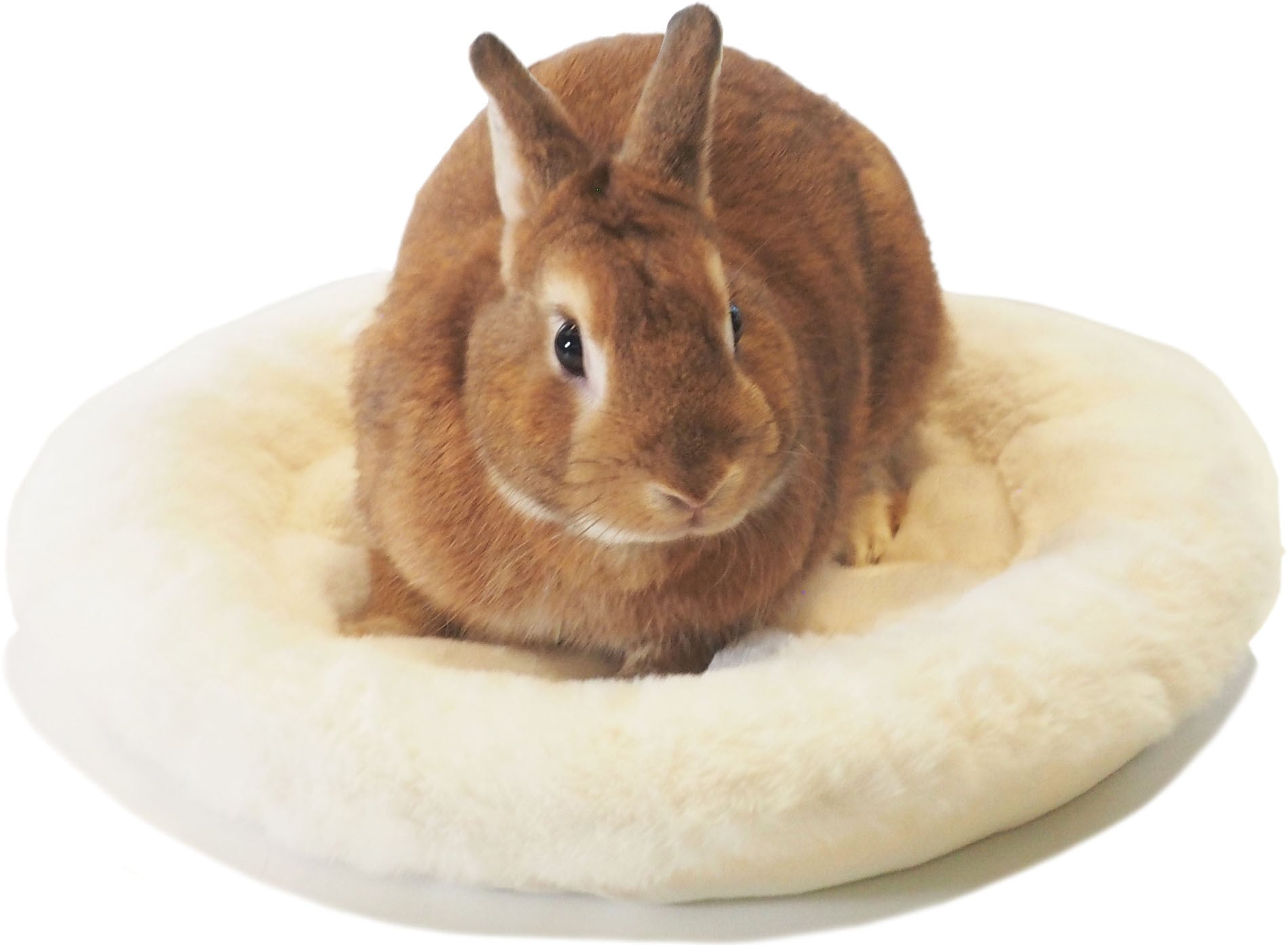 【小動物】 もこもこラウンドマット ホワイト/ブラウン