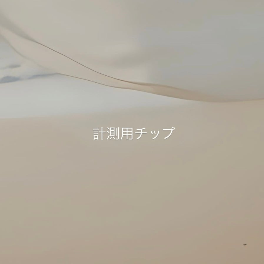 単品購入のみ】計測用チップ | quoti