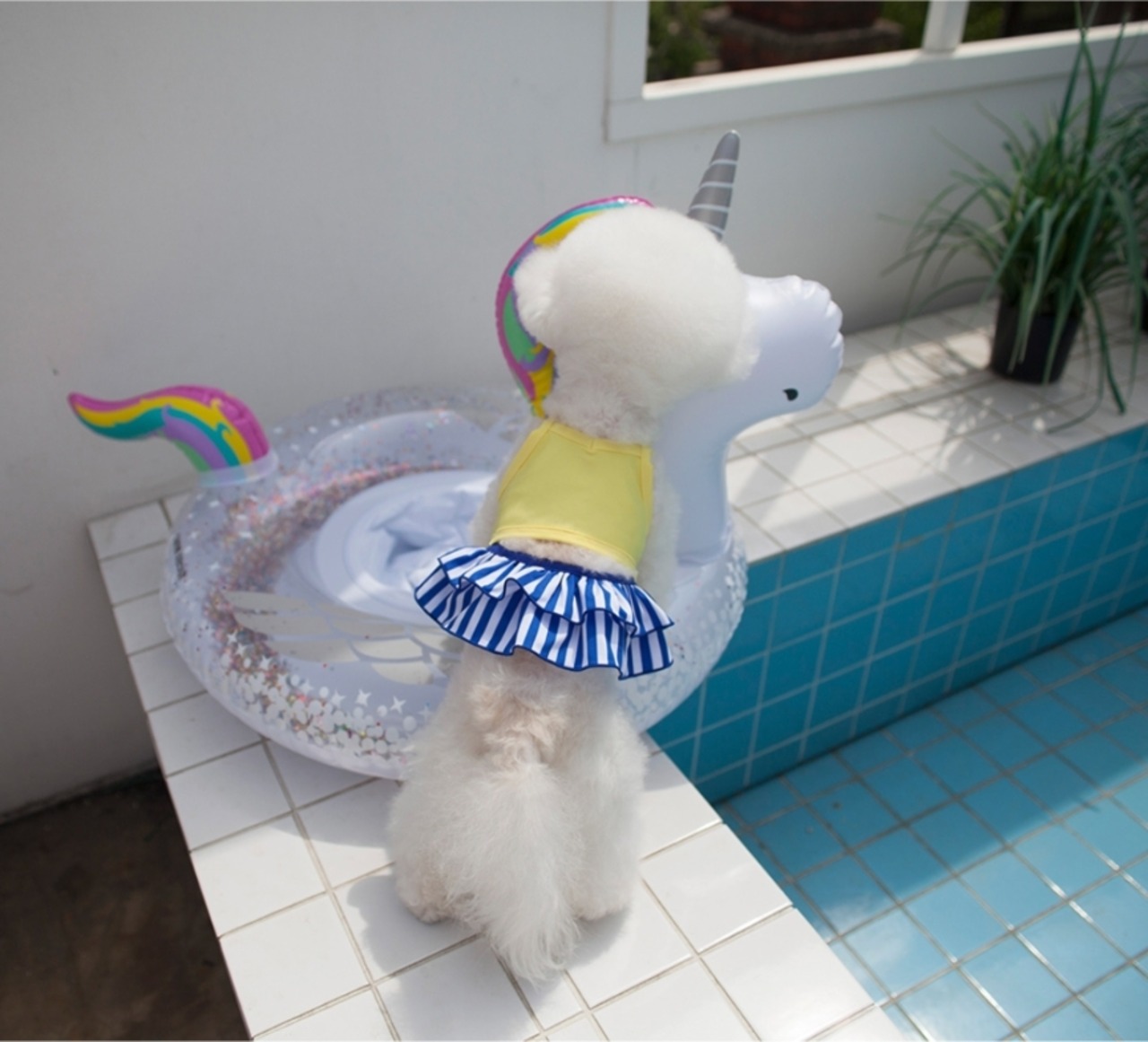 予約【coco chien】Eva Bikini Swimwear (Short)