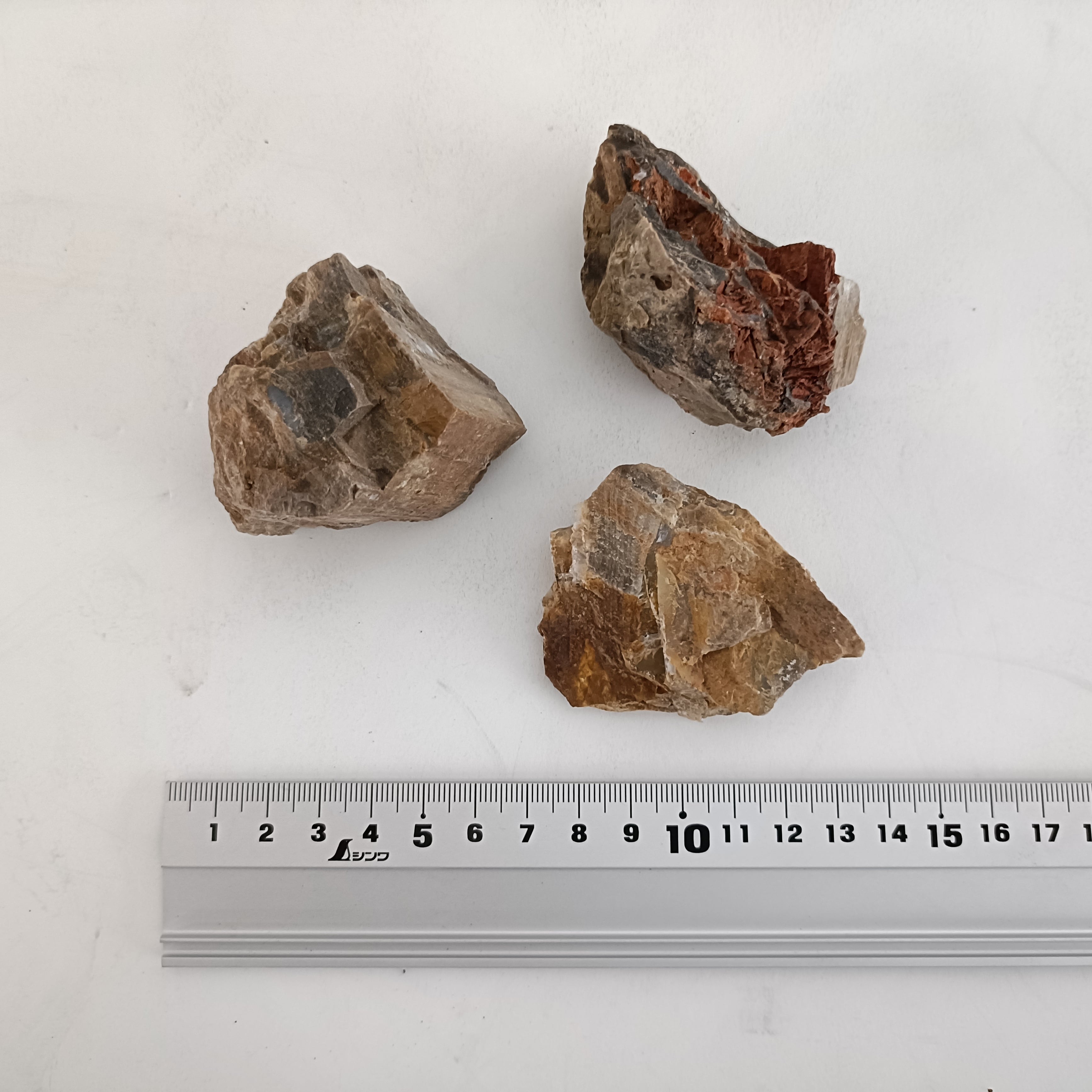 木化石 200g入り【レイアウト用・着生用】 | 苔テラリウム専門