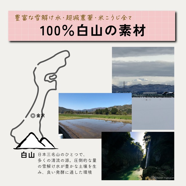 食べる糀甘酒 100g 真空パック 22個【冷凍】