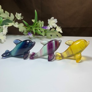 大家族☆海のアニマル♪♪フローライトイルカ☆