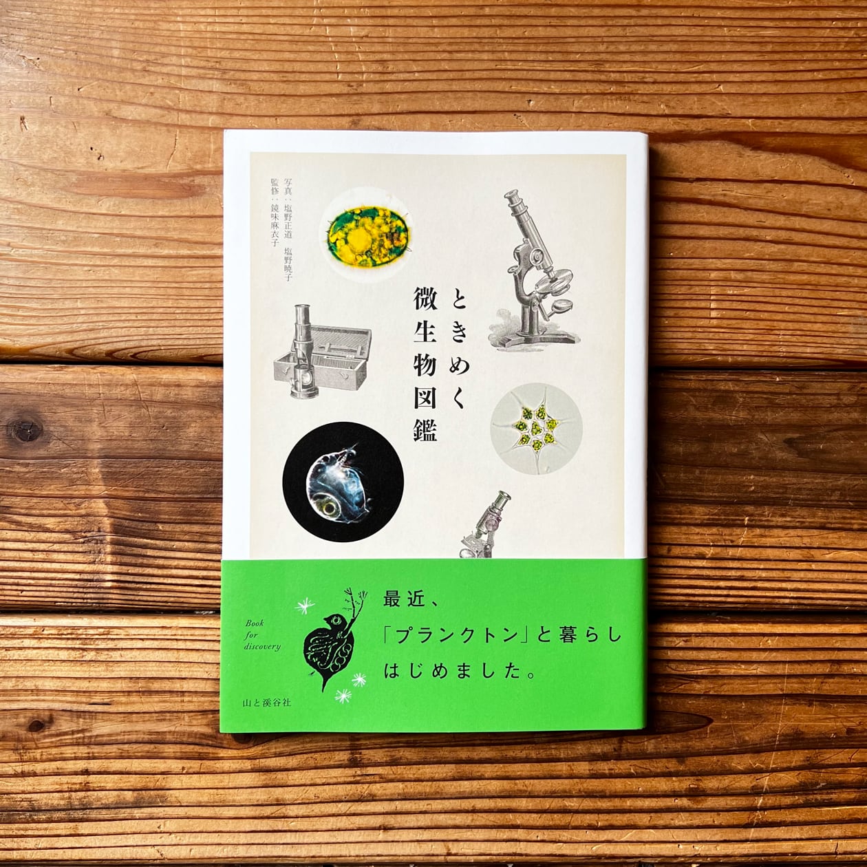 ときめく微生物図鑑 鏡味 麻衣子 塩野 正道 塩野 暁子 尾鷲市九鬼町 漁村の本屋 トンガ坂文庫 ときめく微生物図鑑 鏡味 麻衣子 塩野 正道 塩野 暁子 尾鷲市九鬼町 漁村の本屋 トンガ坂文庫