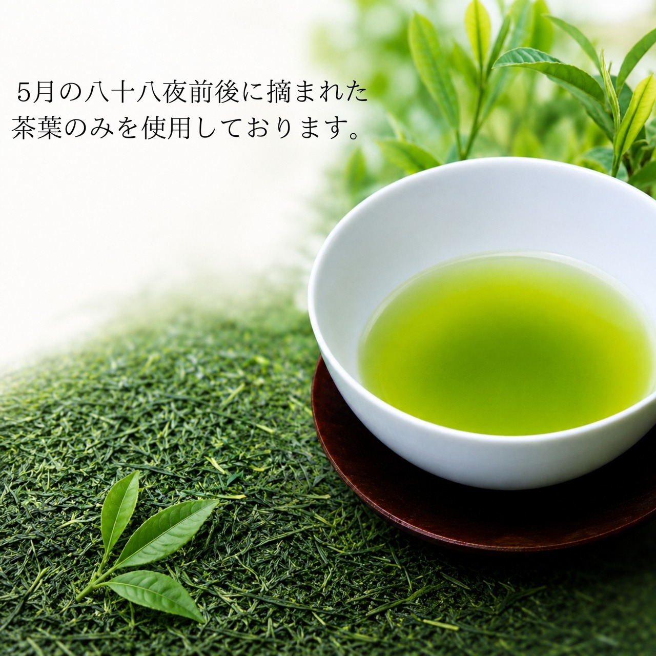 伊勢茶 八十八夜摘み 120g×2本 ギフトセット
