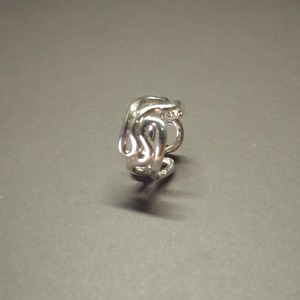 ゲノム リング NE-R-21A