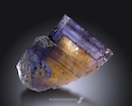 フローライト / キャルコパイライト【Chalcopyrite in Fluorite】アメリカ産