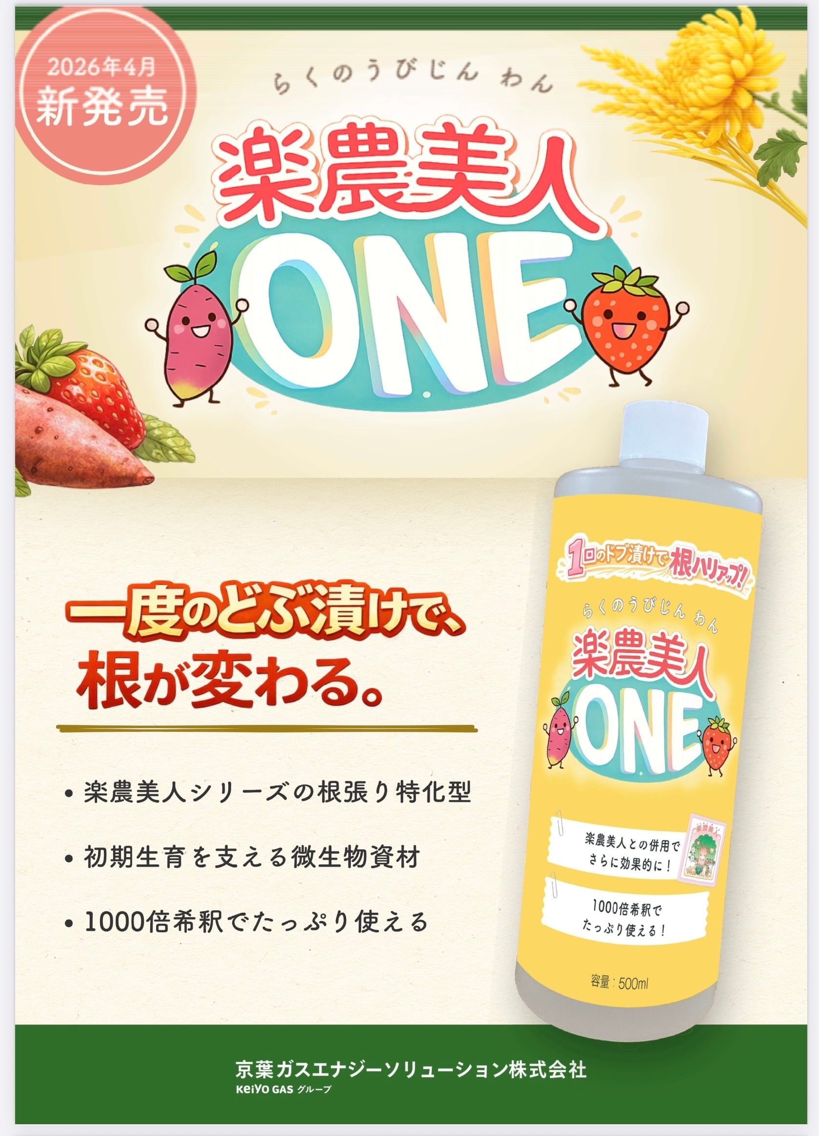 タネのハシモト