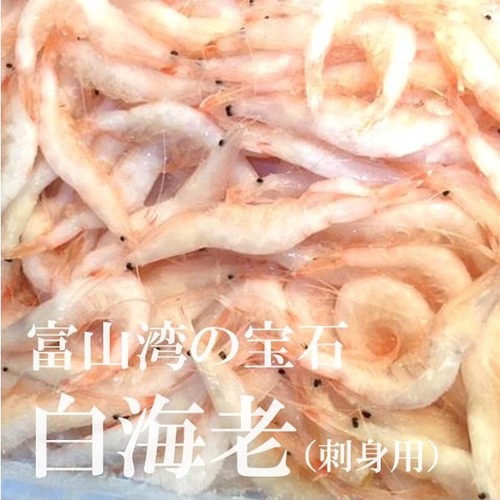 白エビ 白海老 殻付き 富山産 約200g 豊洲直送 【シロエビ２００ｇ】 冷凍 富山湾の宝石 シラエビ