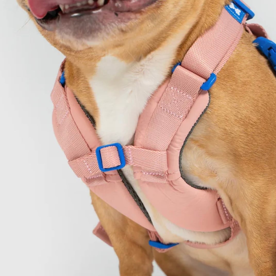 子犬　根付 Sサイズ【SPUTNIK】ブランド10周年記念_X型ハーネス | ペット用品