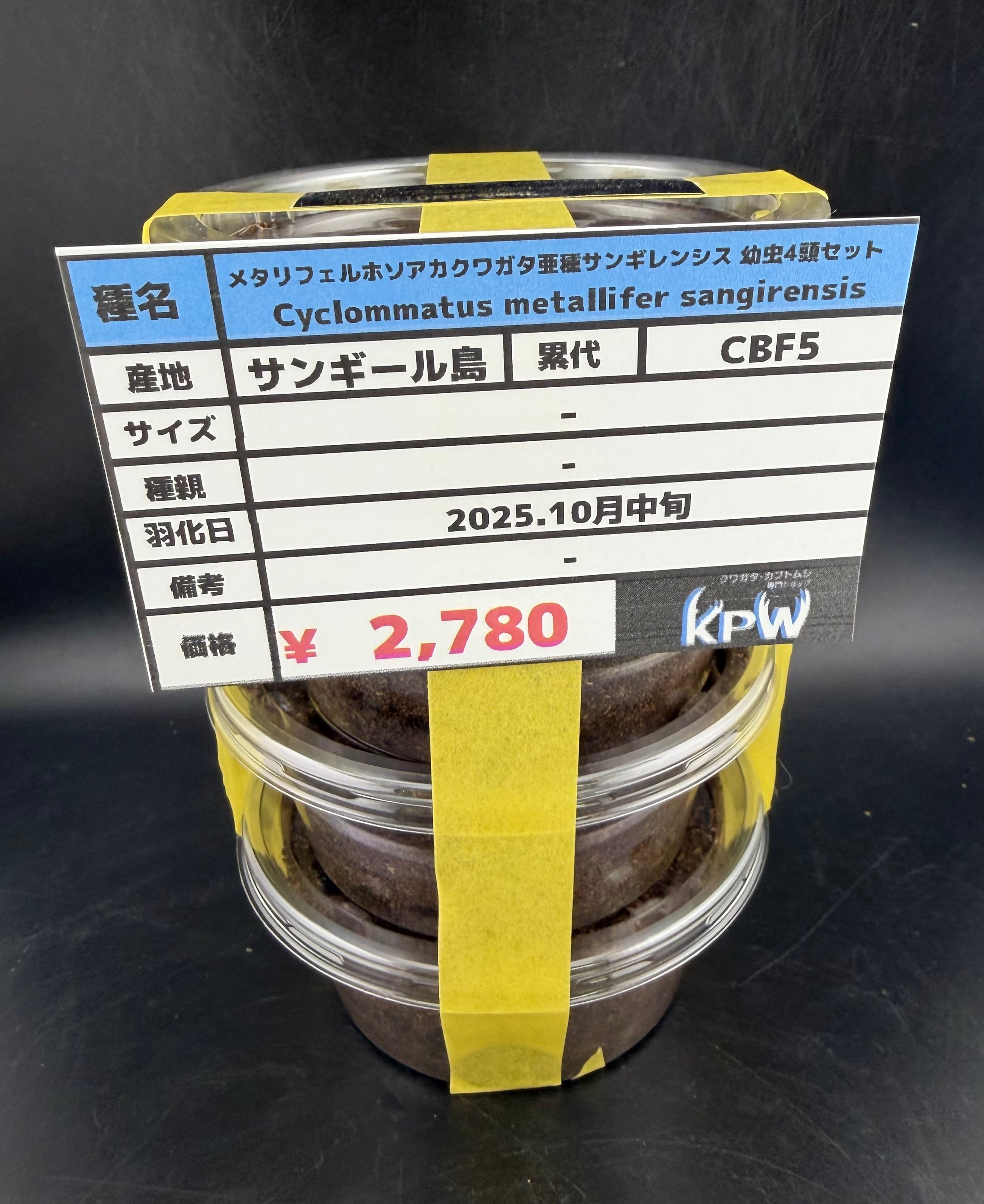 新着生体はこちら | KPW公式オンラインショップ