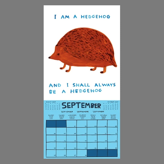 〈予約中〉DAVID SHRIGLEY：2027 WALL CALENDAR