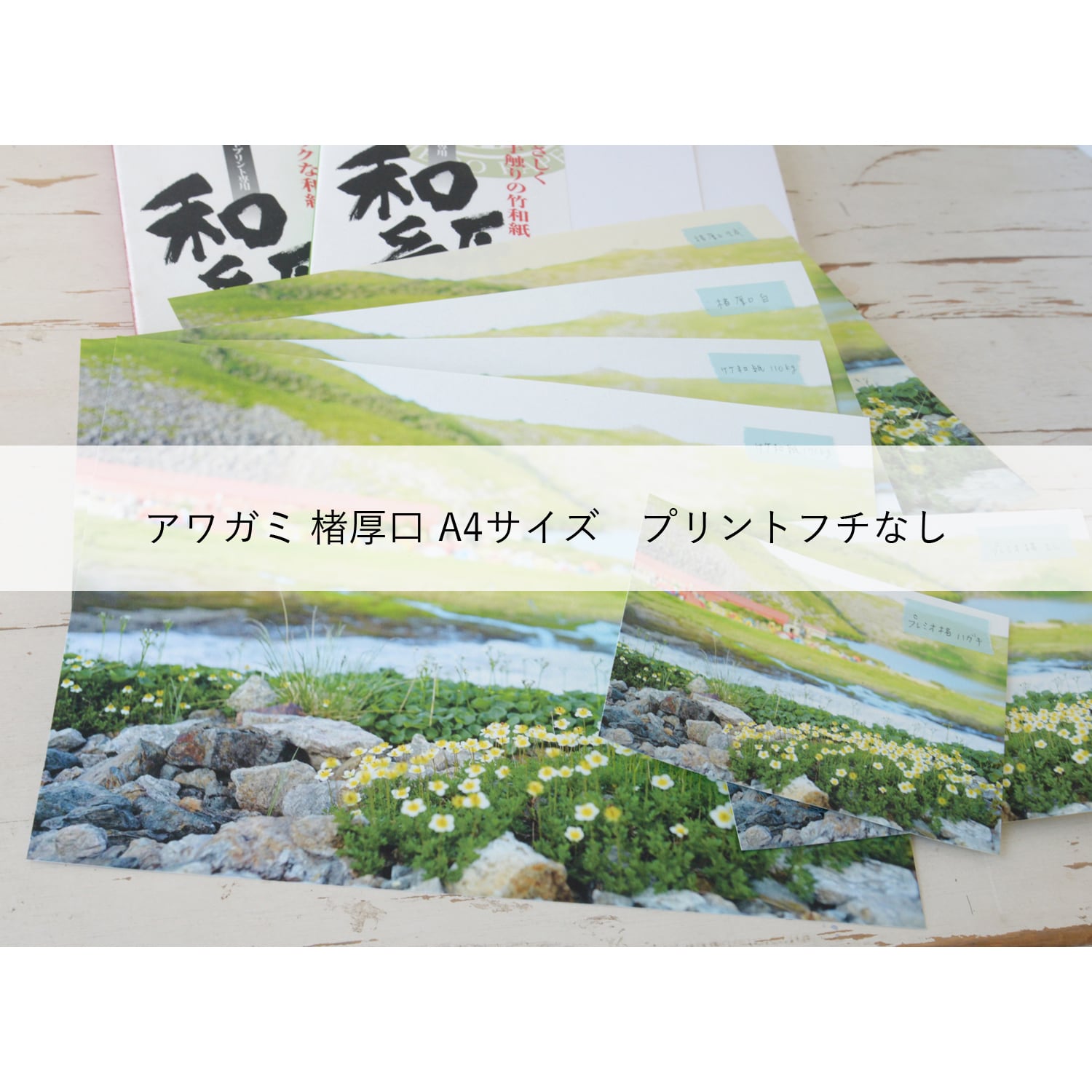 アワガミ 楮厚口 A4サイズ　プリントフチなし