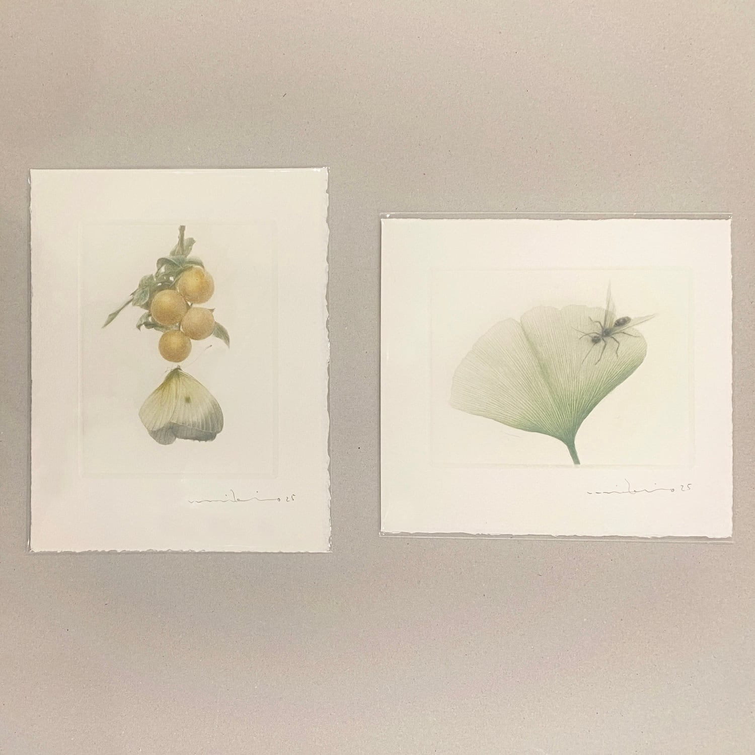 《ノエルの贈り物》渡邉幹夫 カラーメゾチントのカード WATANABE Mikio,mezzotint