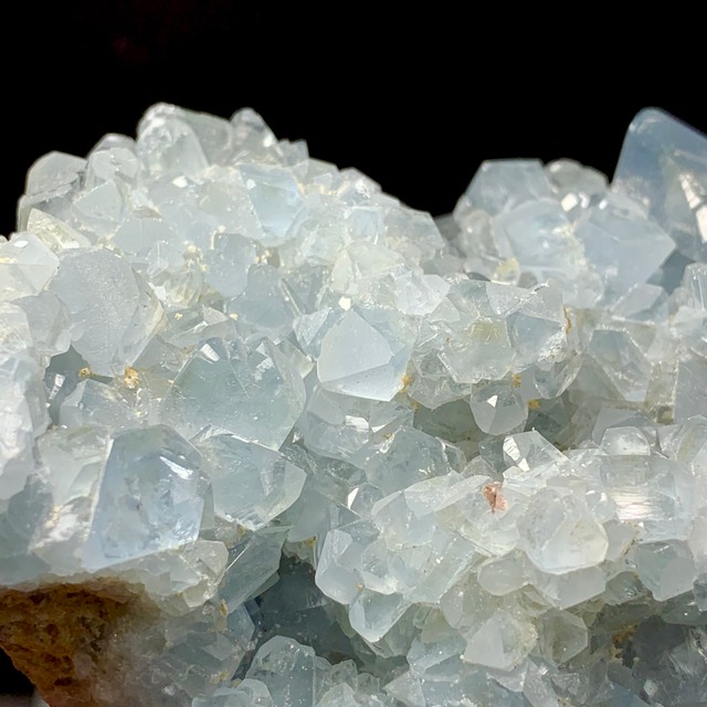 5セレスタイトに住み着いているフローライトハリネズミさん