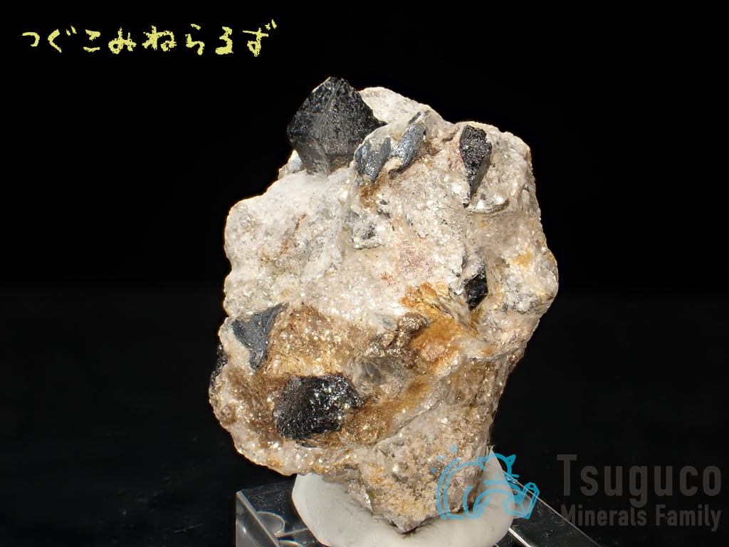キャシテライト 錫石 Cassiterite スペイン TM-0023